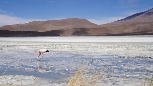 Où voyager dans le monde en août?