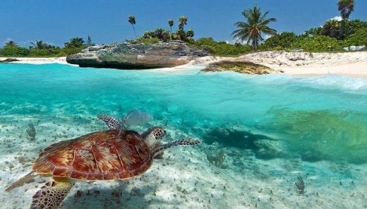 Top 8 des destinations de plage exotiques que vous ne pouvez jamais ignorer