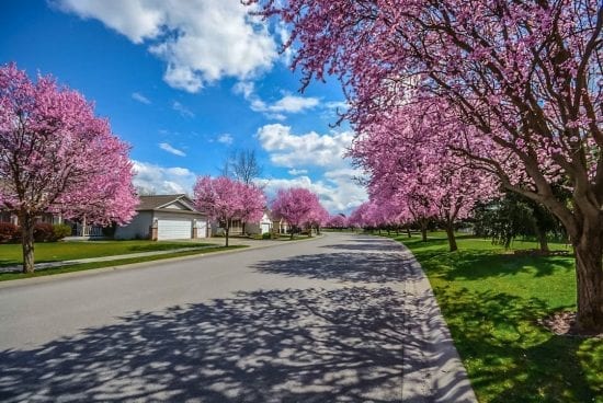 Cinq conseils à suivre pour améliorer votre quartier