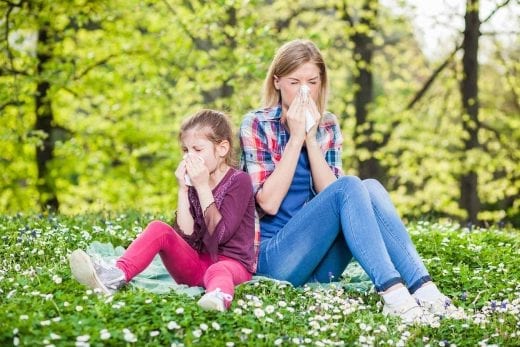Les allergies de l’intérieur et de l’extérieur