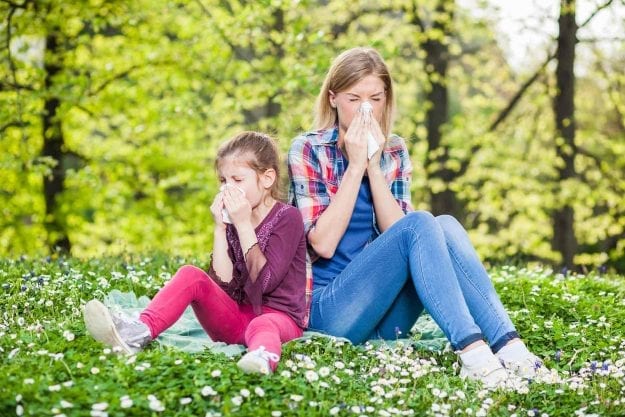 Les allergies de l’intérieur et de l’extérieur