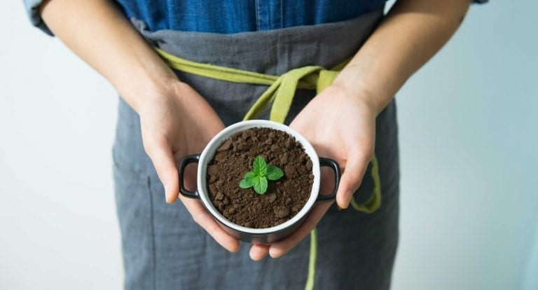 Tirer le maximum de ces cinq fines herbes à cultiver dans votre jardin
