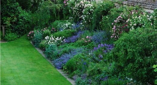 Conseils pour un beau jardin