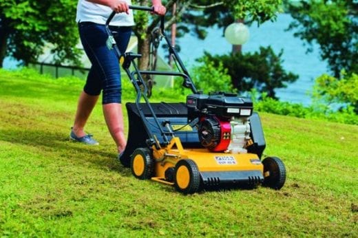 Les bienfaits d’une pelouse saine