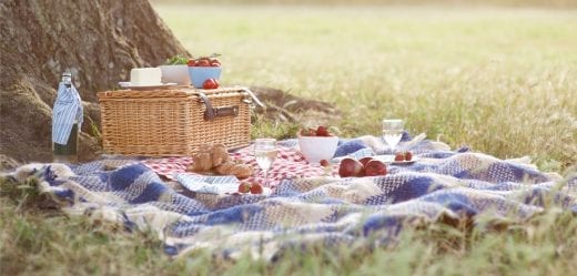 Pour un pique-nique zéro déchets