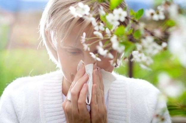 Une réponse aux allergies