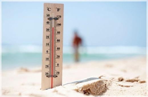 Conseils pour survivre une canicule