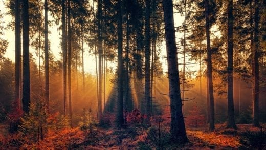 Des astuces pour surmonter les blues de l’automne