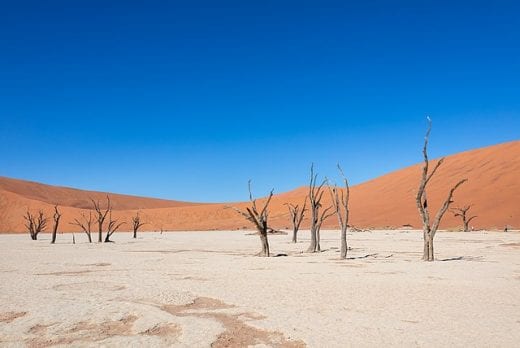 Escapades en Afrique : les meilleurs paysages à découvrir
