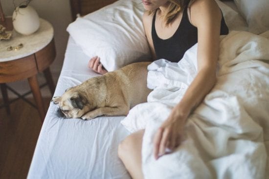 Essential cleaning tips for pet owners