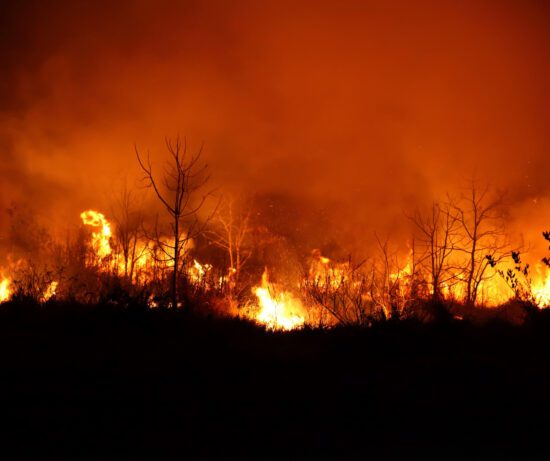 La fumée des feux de forêt tout ce que vous devez savoir