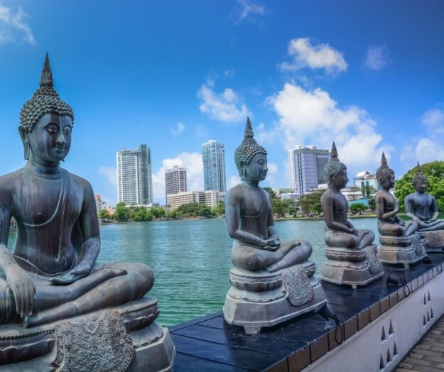 Quelques activités à faire durant un séjour au Sri Lanka