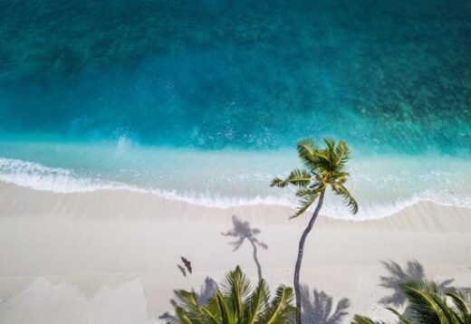 Trois (3) idées pour s’évader sans quitter la maison pendant les vacances