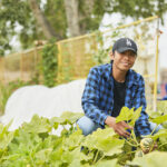 Professional advice to prepare your garden for spring