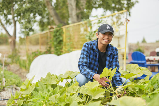 Professional advice to prepare your garden for spring