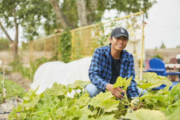 Conseils de pro pour préparer votre jardin en vue du printemps