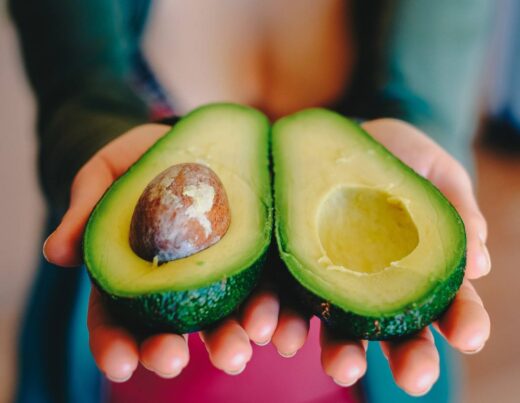 Avocado 101: Everything You Need to Know About the Beloved Mexican Fruit
